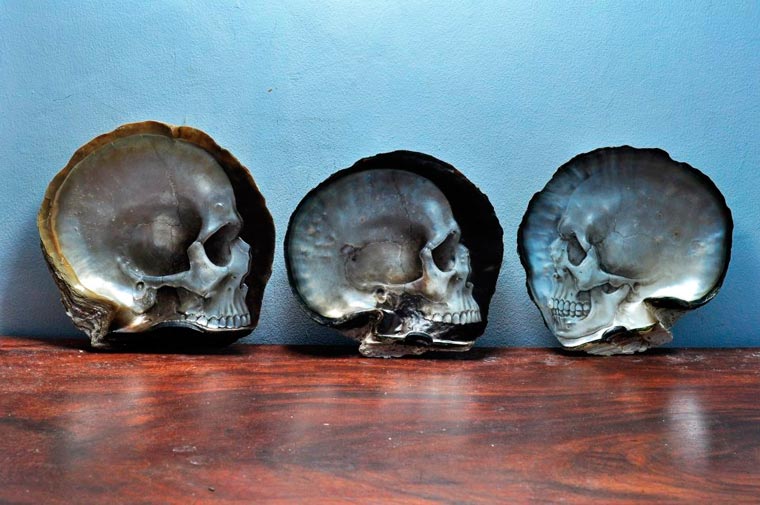 Sculptures de crânes en coquillage