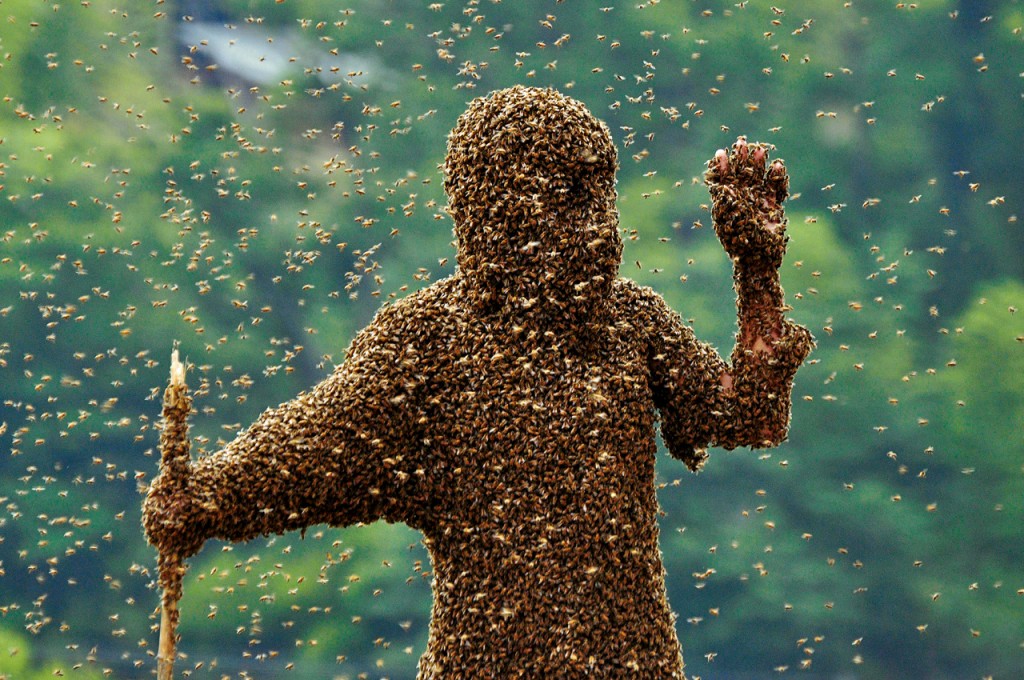 tué par des abeilles
